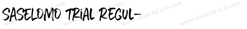 SASELOMO trial Regul字体转换